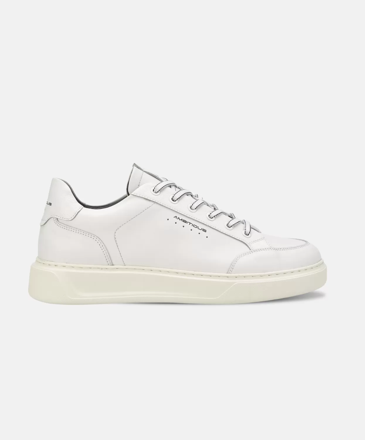 Ambitious Kit Low Top Mens Sneaker White