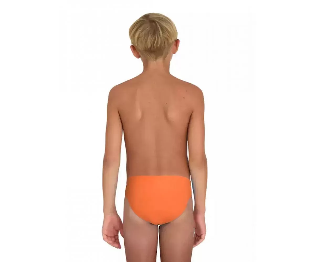 Arena Boy's swimming pool swimsuit with shorts Slip Dynamo Brief 006503300 medlar-asphalt